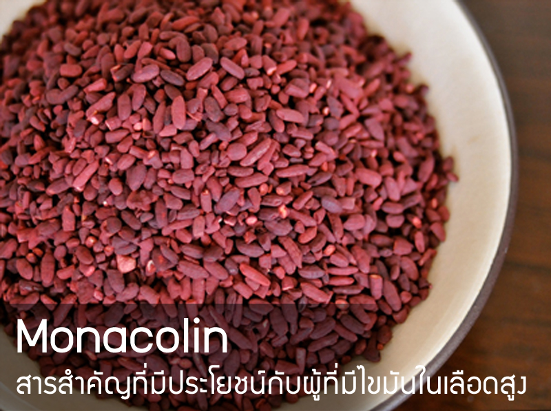 Monacolin สารสำคัญที่มีประโยชน์